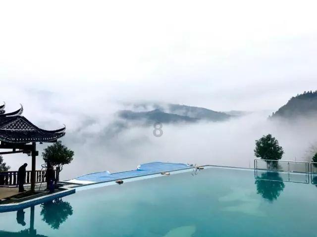 植物大战僵尸18