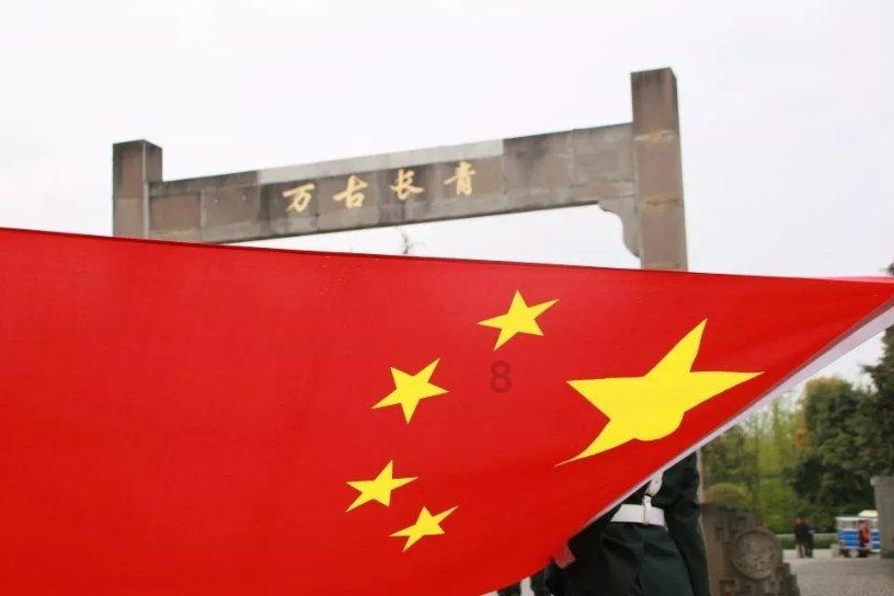 救援鹦鹉